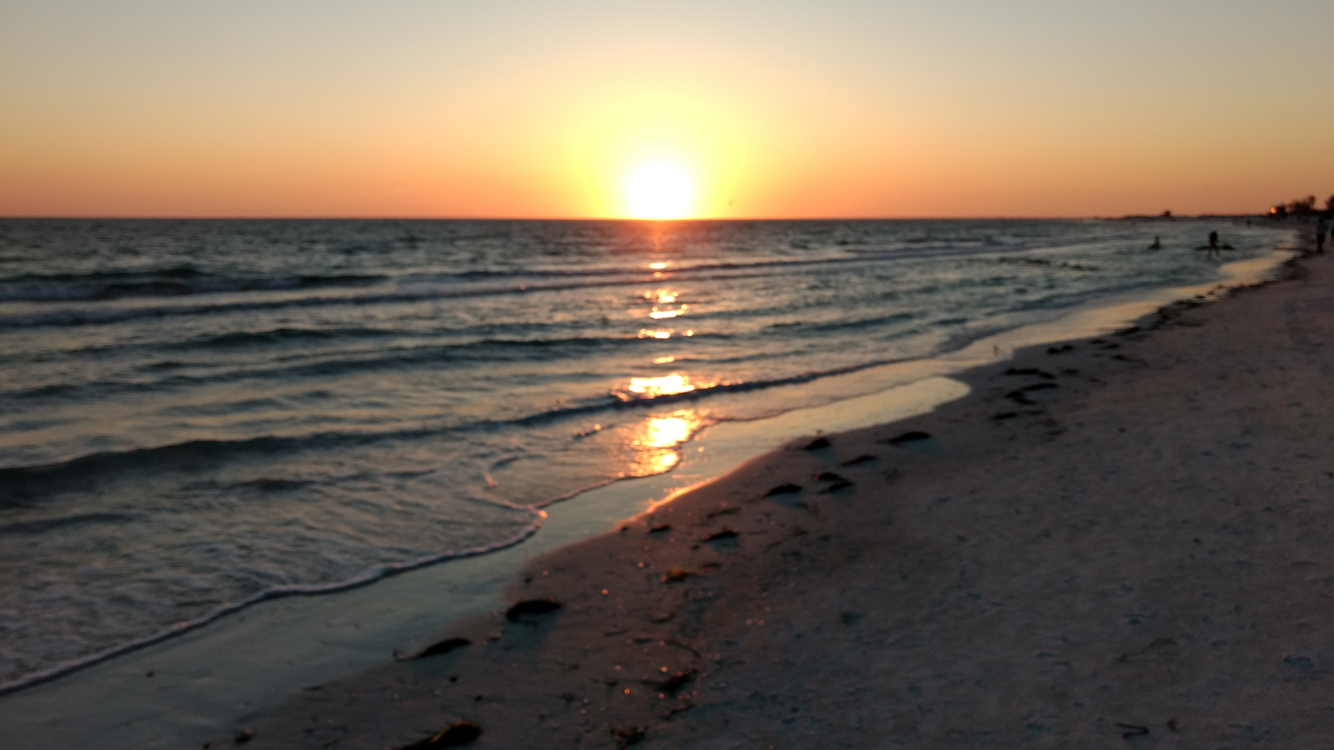 “Siesta Key” In Perspective