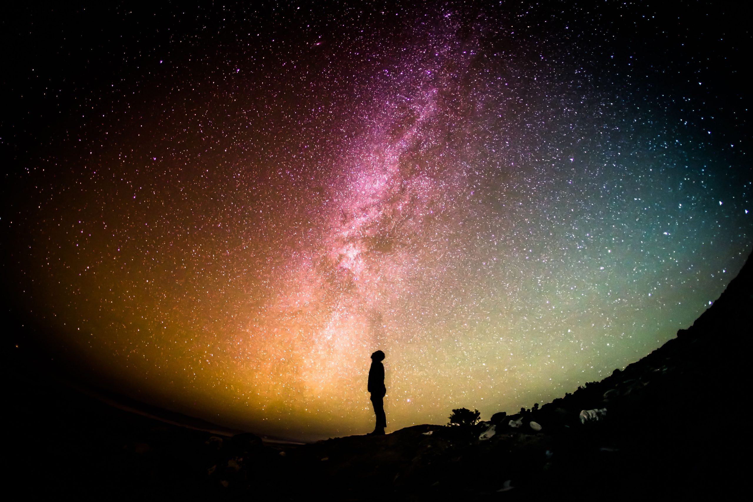 What You Can Expect In The Year To Come