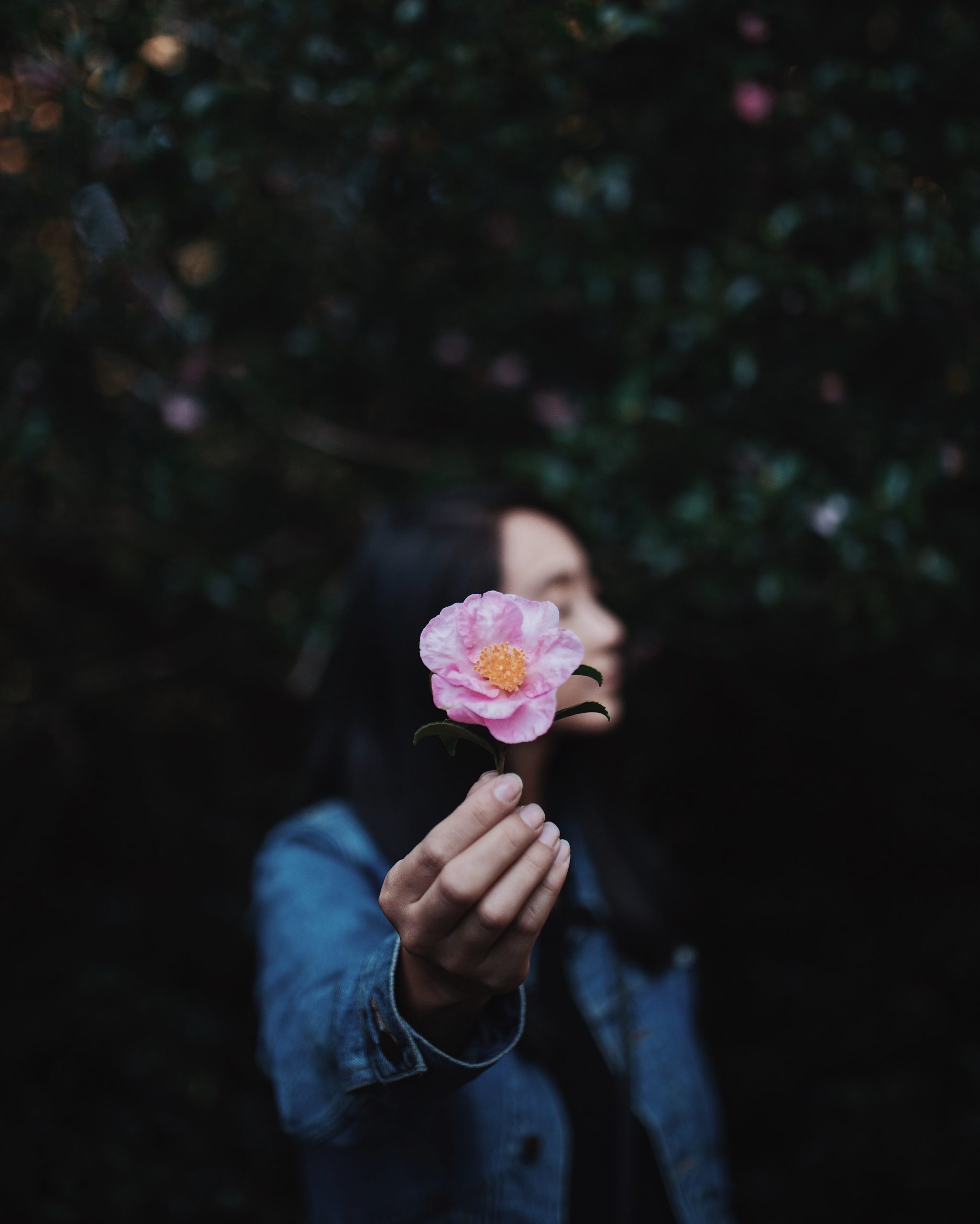 Your Daily Groove – Make a Difference
