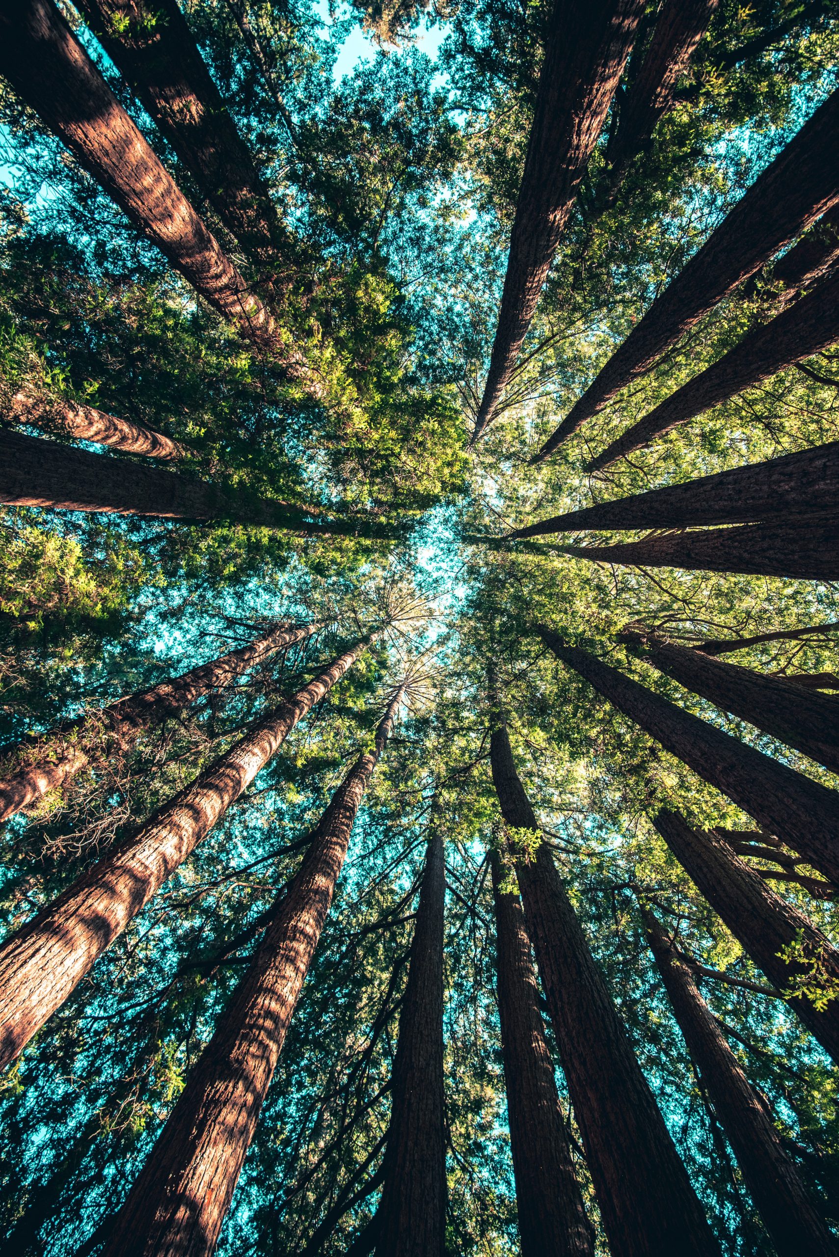 Is Civilization Really Necessary?