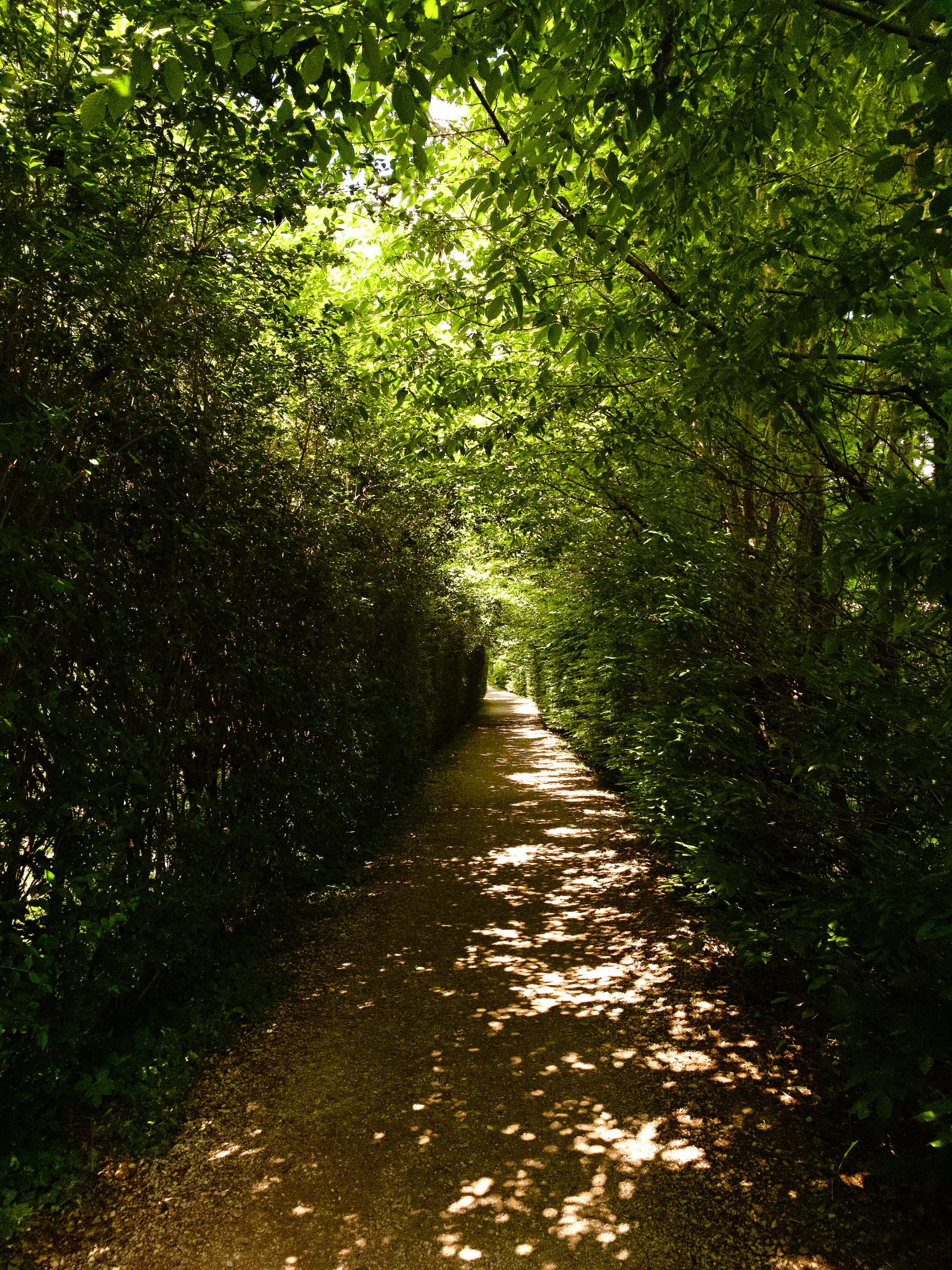 We Are All On The Same Unbroken Path