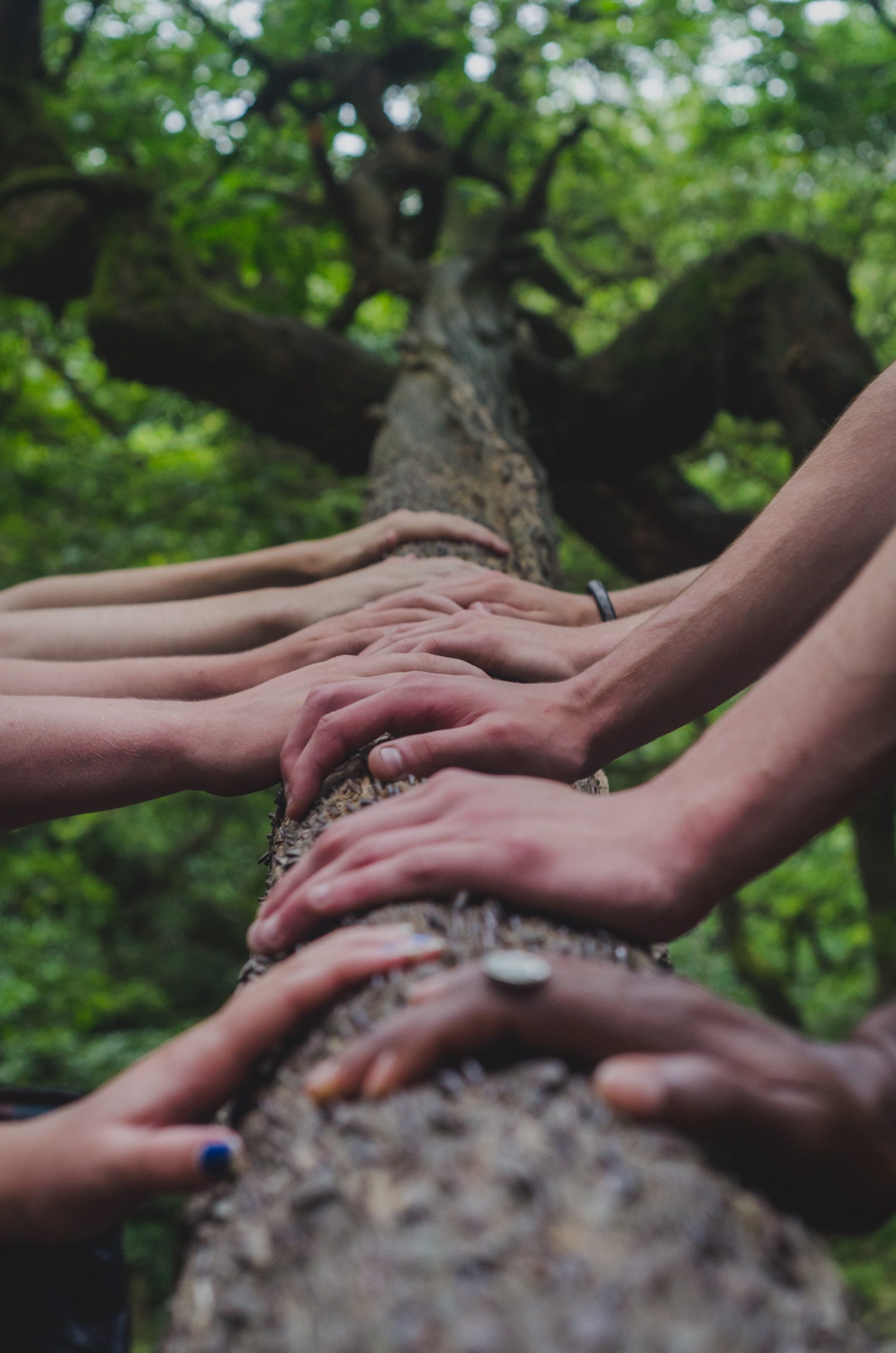 Can We Value Collaboration Over Capital?