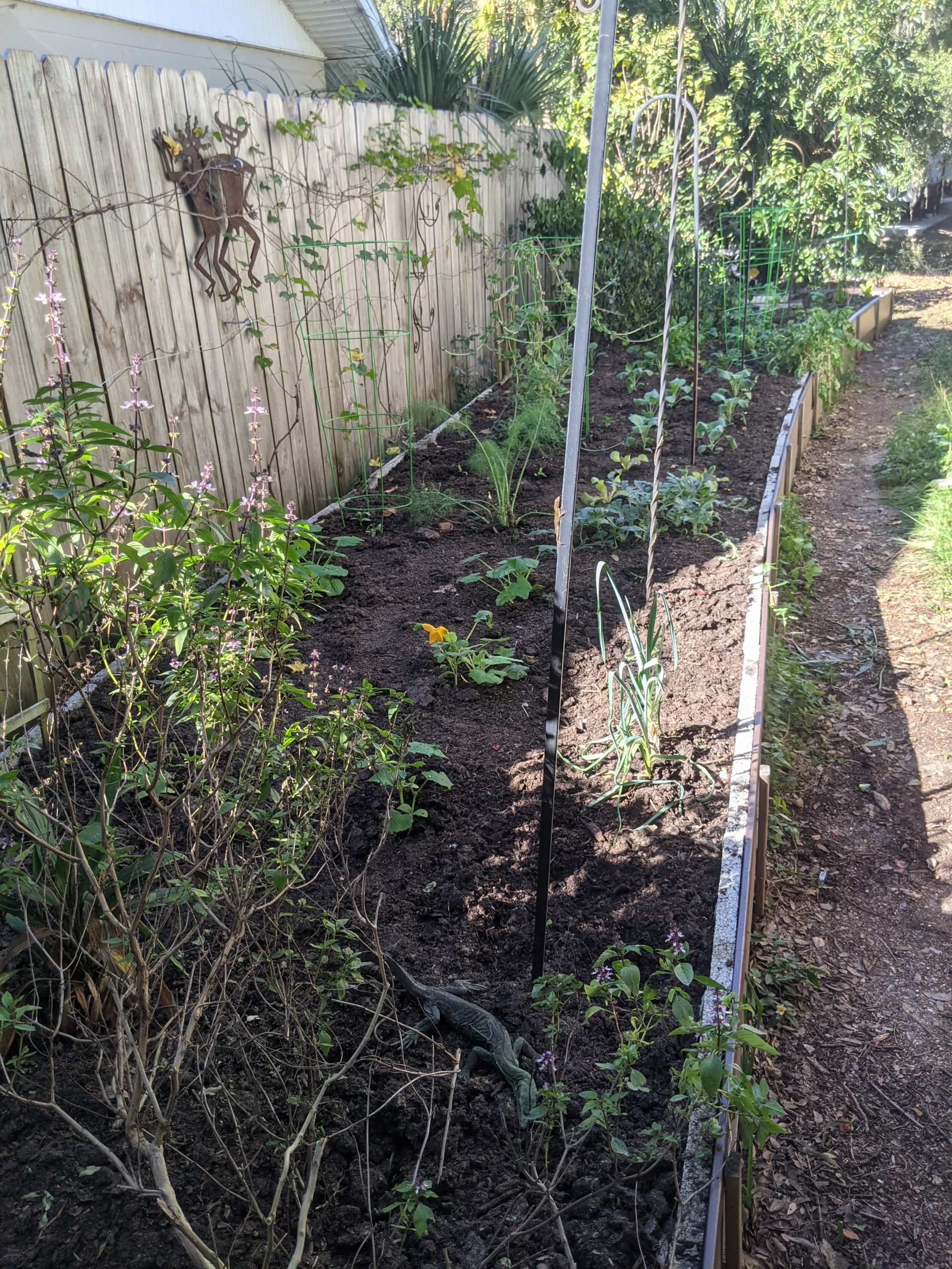 How My Garden Is Growing