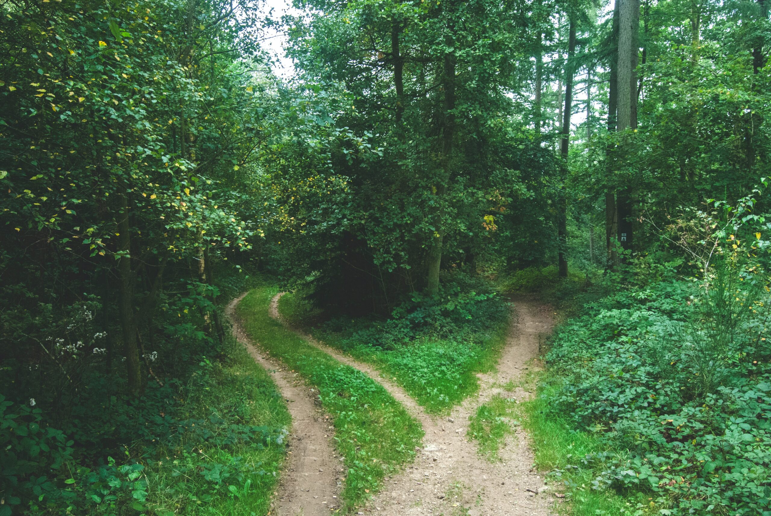 The Choice To Play Our Roles